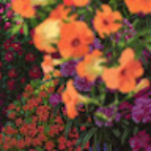 Meet your Posher, Oona